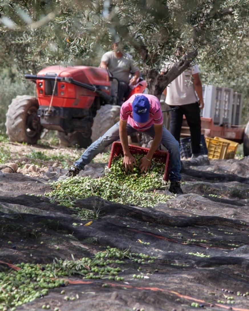 Azienda Agricola Mandranova Affittacamere Palma di Montechiaro Esterno foto