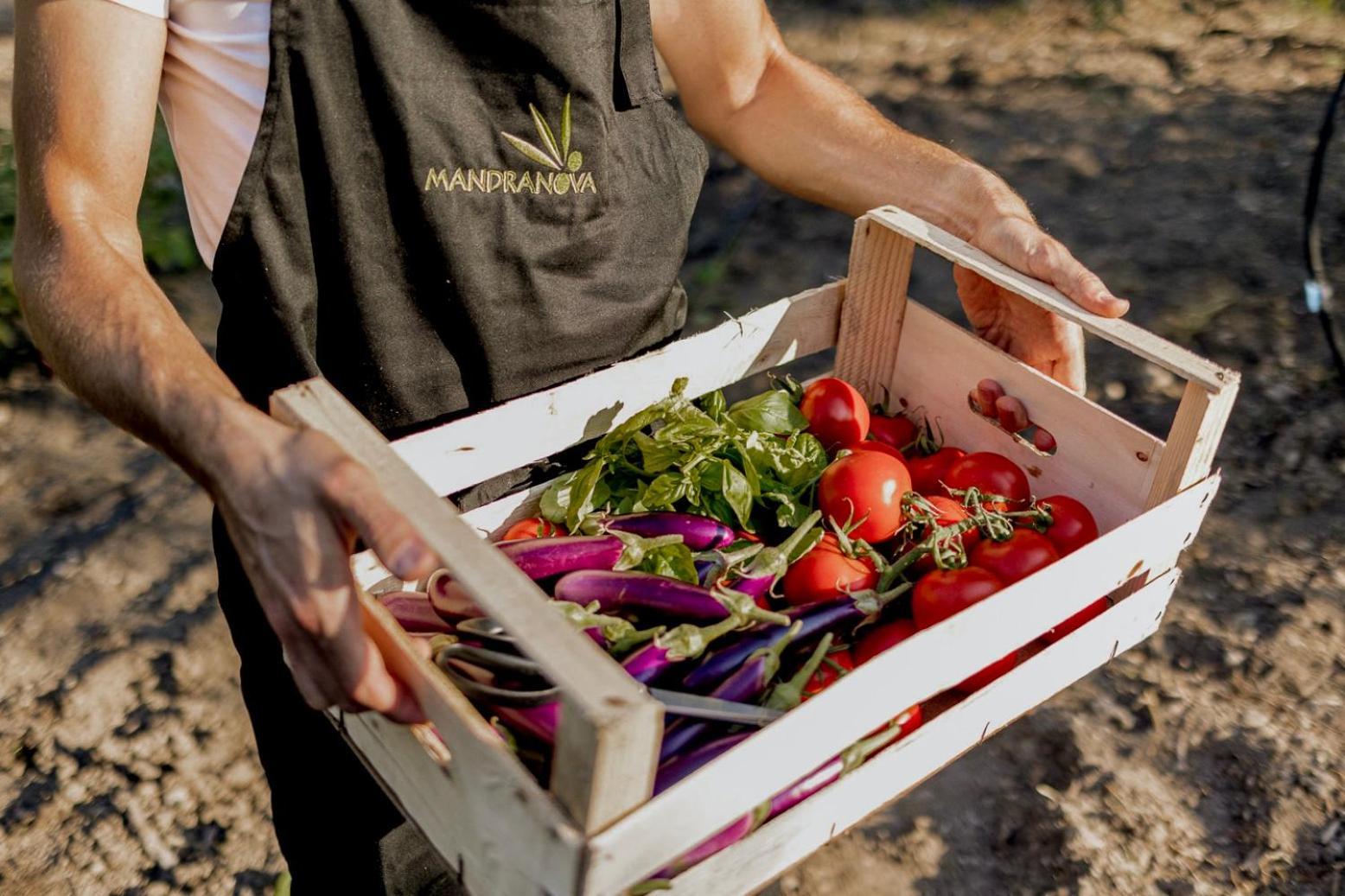 Azienda Agricola Mandranova Affittacamere Palma di Montechiaro Esterno foto