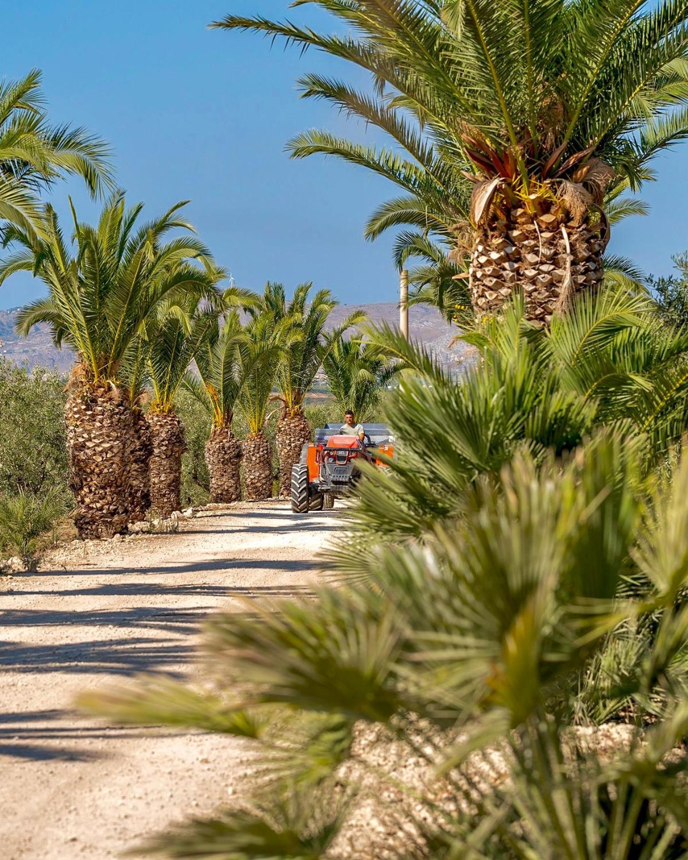 Azienda Agricola Mandranova Affittacamere Palma di Montechiaro Esterno foto